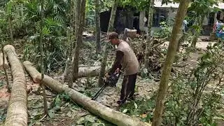 SMART WORKER&rsquo;S TECHNIQUE: PERFECT WOOD CUTTING WITH MODERN SAW MACHINE! - Agriculture Tools