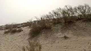 white desert resort