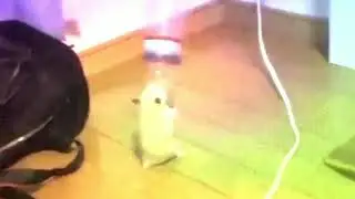 Ongshimi ft Kihyun
