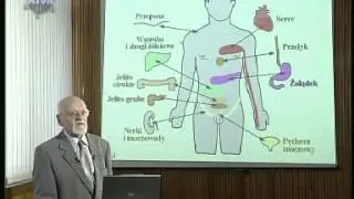 BÓL I JEGO FIZJOLOGIA cz.3 (3)