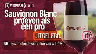 Leer wijnproeven als een pro: ontdek de geheimen van Sauvignon Blanc! WIJNPRAAT NL S01E01