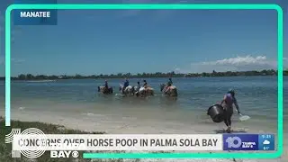 Environmentalists blame horseback riding on poor water quality