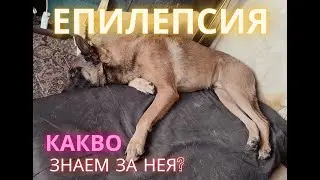 Епилепсията! Какво знаем за нея? Част 2.
