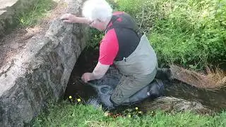 To the root of the problem and the other stuff #trout #fypシ゚viral #gonefishing #fishing #stillwater