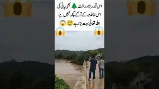 Power of Water Beyond Strength#NaturePower #EmotionalMoment #FloodReality #StaySafe #HeartTouching
