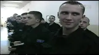 prawdziwe psy 7