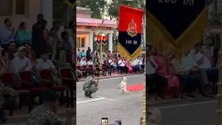&ldquo;Loyalty in every step, courage in every bark! 🐕🫡 🇮🇳&rdquo; #viral #shorts #bsf #army #trending #dog