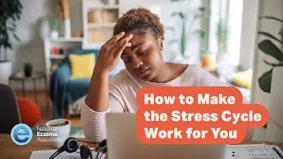 How to Make the Stress Cycle Work for You