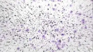 TGN+Machinima Intro