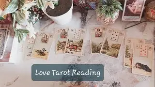 Love, Relationship Tarot reading | Ex, Current partner feelings and future prediction | Timeless.