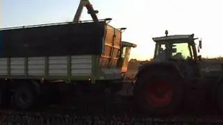 Loonbedrijf van spijkeren uit Doornspijk aan het maishakselen 2011
