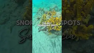 The best snorkeling spots in Saint Lucia 🇱🇨🩵🪸 #saintlucia #stlucia #caribbeantravel