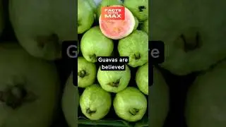 #guava #fruit #food #vitaminc #centralamerica #antioxidants #nutrients #fiber #shorts #facts #viral