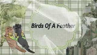 Birds of a Feather |Haikyuu x Texts| -Blake