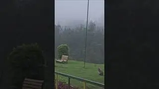 Memories of Ooty 🥰❤️ #travel #nostalgia #mist
