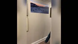 Moveable Art Mural Prints