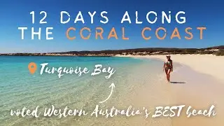 PERTH TO EXMOUTH | Episode 7. I went diving for the first time in Ningaloo Reef!