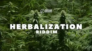 ►FREE◄ Reggae Instrumental Beat 2022 | HERBALIZATION Riddim