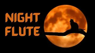 Night Flute Rap Beat | New Hip Hop Instrumental Music 2022 | for Stress Relief.