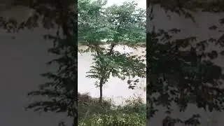 the scene of pre monsoon captured in this video