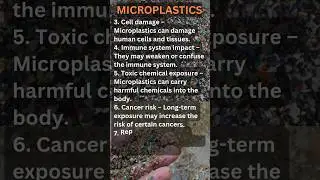 Health risks in  micropalstic | We Are Eating Plastic