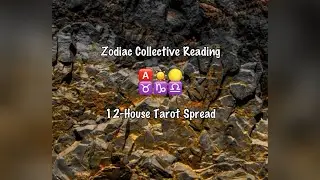 Italian, Taurus 🅰️ Capricorn ☀️ Libra 🌕, 12-House Tarot Spread