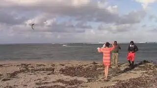 Falmouth Jamaica Barracks School Kiteboarding Spot