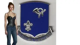 Brief History   242nd Infantry Regiment &ldquo;Through Fire, Winter, and Liberation&rdquo; 42nd Division