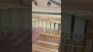 Чавимо Мед а не Розплід) Автоматичний вулик.