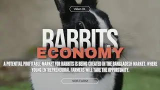 Rabbit Farm Economy in Bangladesh by SRB Farm