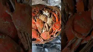 Crabs or Crab legs?