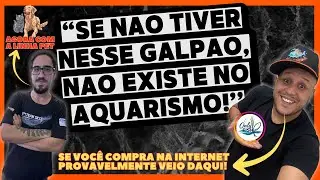 TOUR NO GALPÃO DA ONLY FISH! 🥰🐟