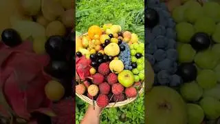 The Power of Unity | Inspirational Short Story #satisfying #motivationalspeech #speech #oddlysatisfy