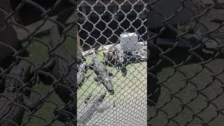 Gator Golf Orlando Florida!