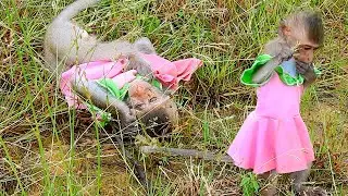 LivLiv's action in the garden|MonkeyLivLiv Fan