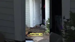 Let him explain, bro 😹😹😹 it's a fucking mistake 😹 | #shorts