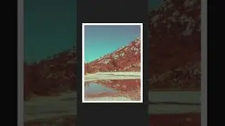 This film expired 14 years ago 🧡🎞 Ferrania Solaris 100 [expired 2008]📷 Yashica FX-3