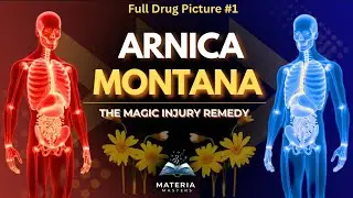 Arnica Montana Complete Drug Picture in Hindi | Homeopathy Materia Medica for BHMS Students 