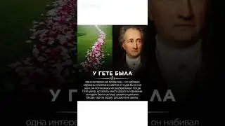 #мотивациякаждыйден#саморазвитие#успех#мышление#дисциплина#цели#психология#shorts#motivation#mindse