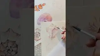 Save how to draw a seashell 🌊 Explore more watercolour tutorials in my feed 😉. #watercolor #tutorial