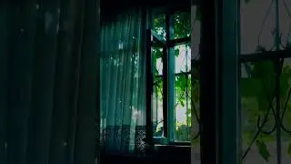 Soft Wind, Moving Curtains | Aesthetic Home Vibes | 1080p HD