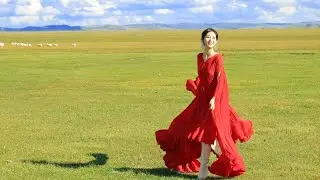 #XingFei Weibo ~I returned to Hulunbuir