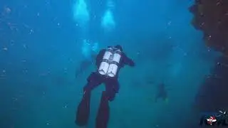 Diving Krk II 2023
