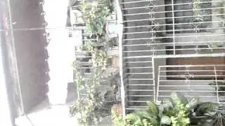 SDC16450