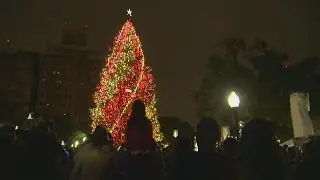 H-E-B Christmas Tree to go up at Travis Park