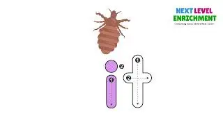 Level 1 | Reading Practice - 3 Letters with 