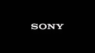 Martin Ransohoff Productions/Sony/Columbia Pictures (revived)