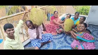 இந்த மாலை வேளையில் குடும்பத்தோடு பலாப்பழ வேட்டை / EVENING LIVE
