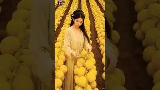 Wonderful fruits that bring relaxation 13 #satisfying #farming101 #fruitideas #fruitsoup #mixfruit
