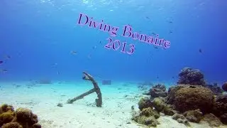 Diving Bonaire 2013